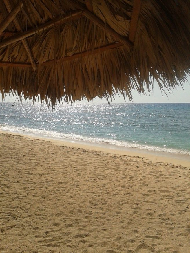 10923207_10205987269464008_4967980892276469497_n