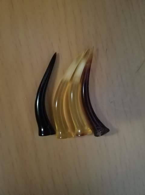 16684570_241794546279833_297911342_n