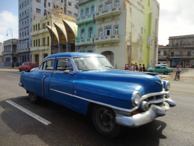 Almendron fot. Tanja More