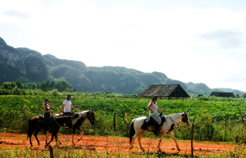 Screenshot_2017-05-21-17-13-11-1