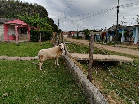 28235824_10215461014541714_521254039_n